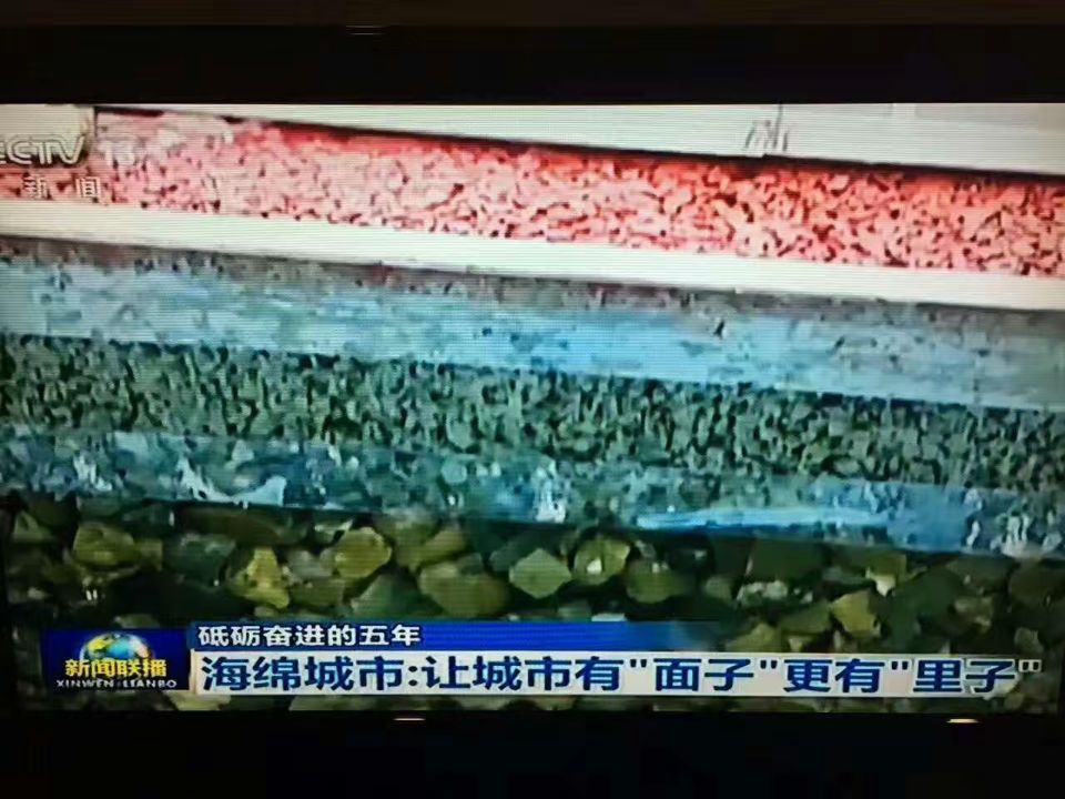 QQ圖片204.jpg
